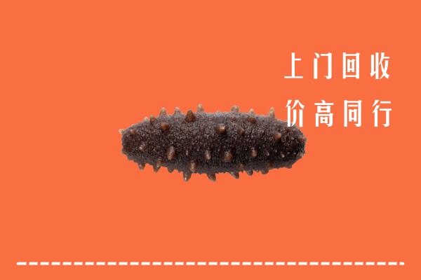 平顶山回收海参